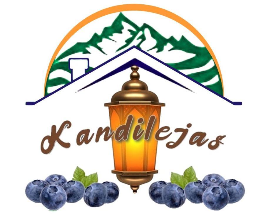 Kandilejas Apartment